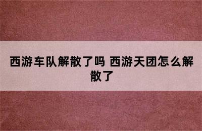 西游车队解散了吗 西游天团怎么解散了